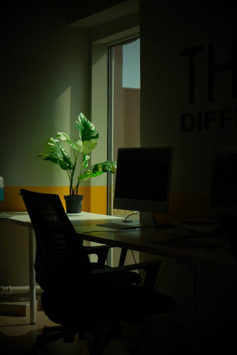 Consultoría profesional y trabajo empresarial